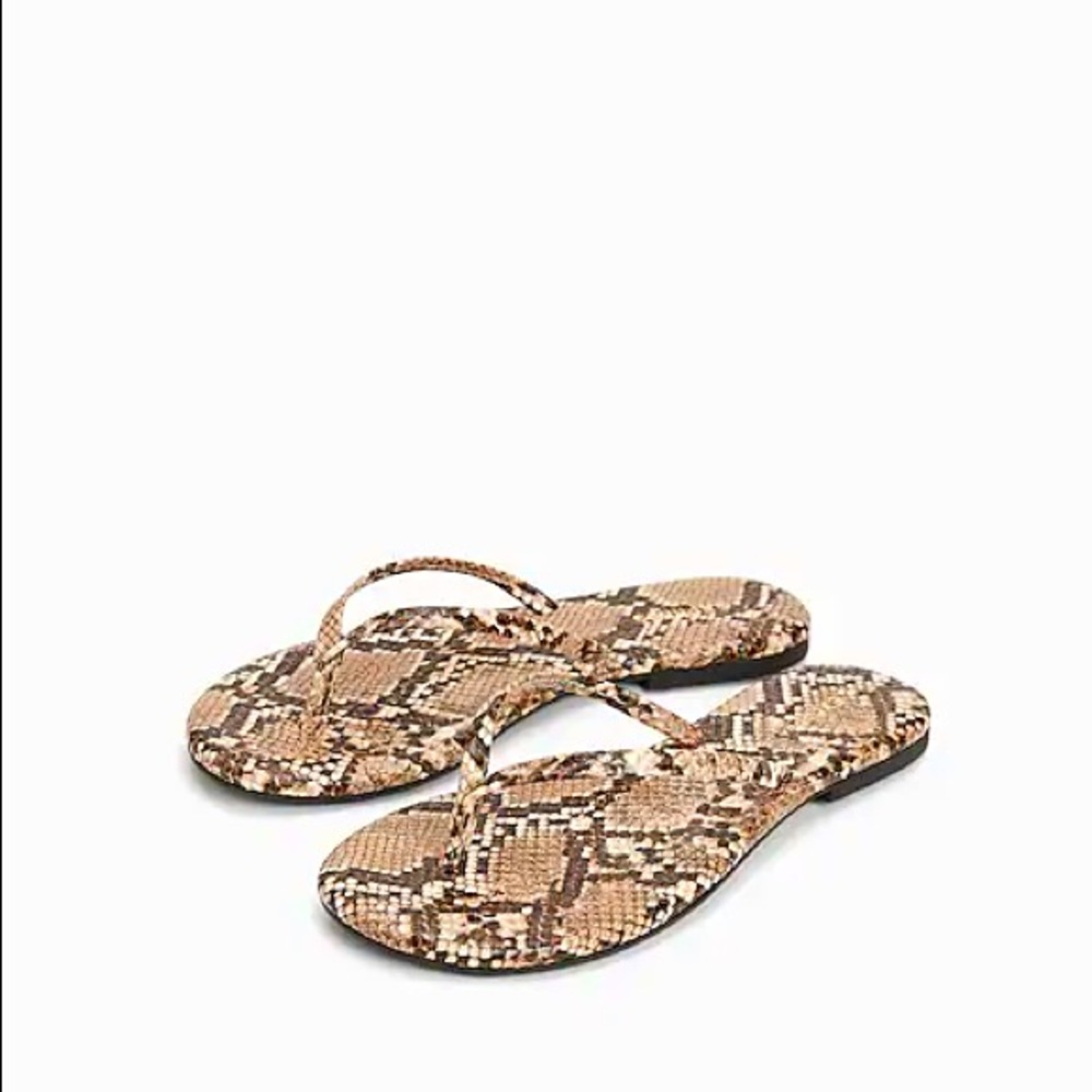Express snake print flip flops NWT